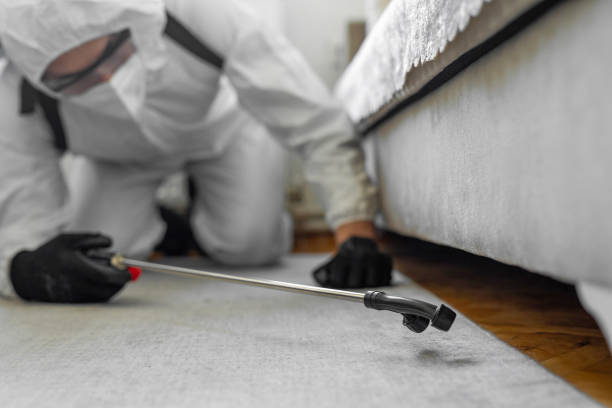 Professional Emergency Pest Control technician working in Green Springs, OH